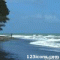 WAVES