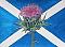 glasgow-lover