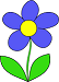 BlueFlower