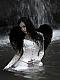 Fallen Angel