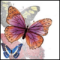 butterflygirl