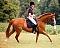 Pologirl